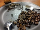 YUMZ!!