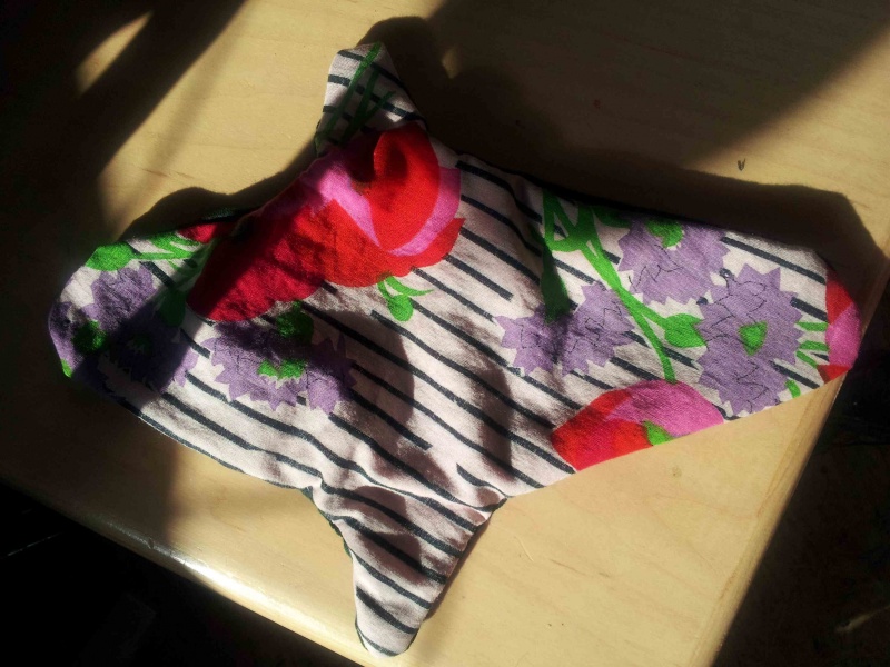 File:Flower pad.jpeg
